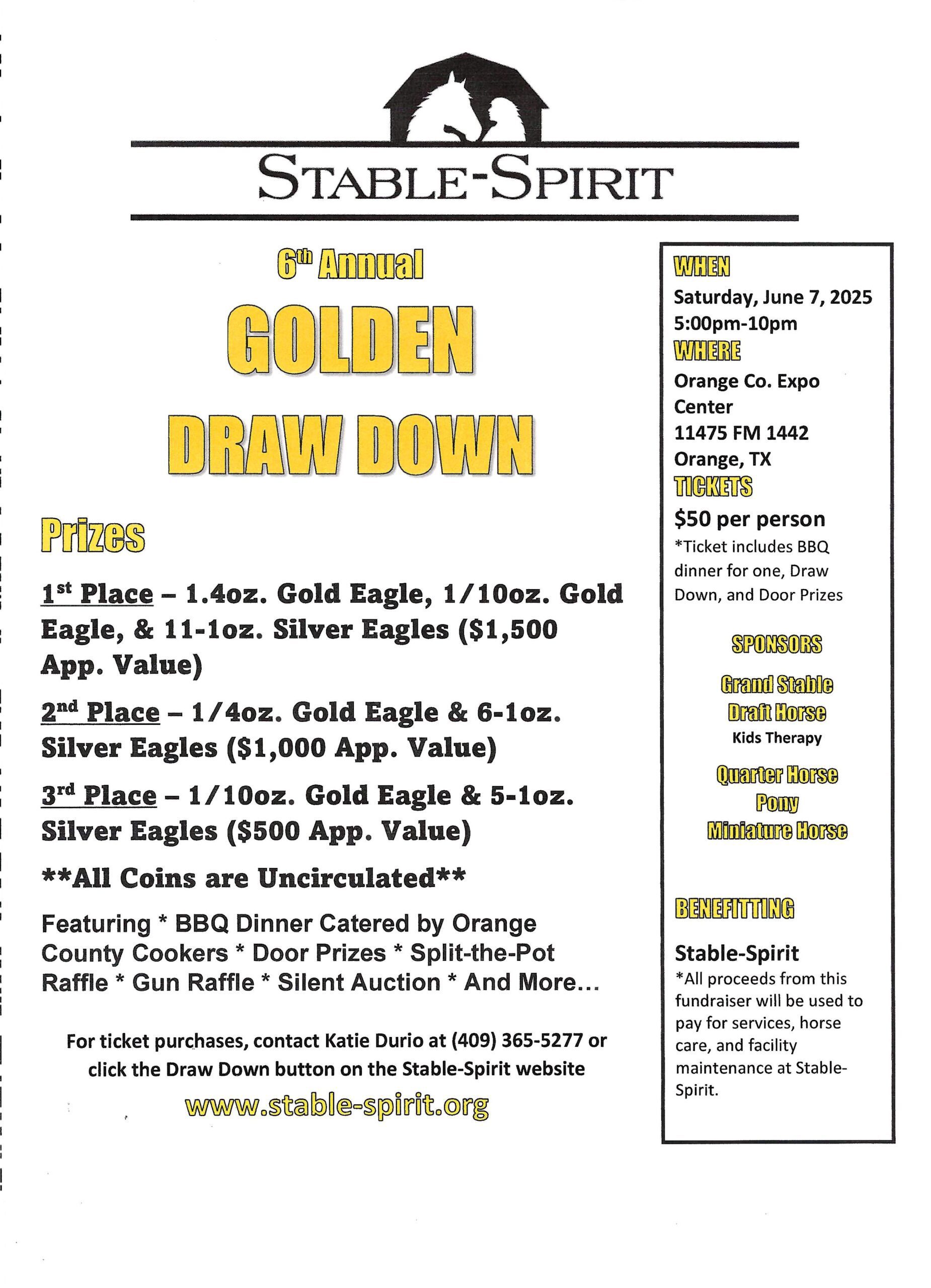 Flyer picture